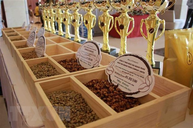 Các mẫu càphê đạt tiêu chuẩn càphê đặc sản Việt Nam. (Ảnh: Phạm Cường/TTXVN) Thị trường nông sản tuần qua: Giá lúa, gạo tiếp tục tăng khá ảnh 2
