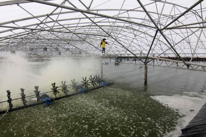 Gia nhập Cộng đồng kinh tế ASEAN-Bài 3: Tận dụng lợi thế ảnh 1