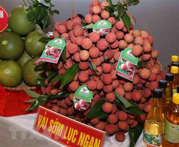 Đẩy mạnh ứng dụng khoa học trong chống dịch, tăng năng lực cạnh tranh ảnh 2