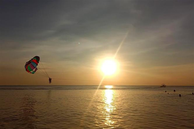 Đưa du lịch nông nghiệp, nông thôn trở thành thương hiệu của ĐBSCL ảnh 1