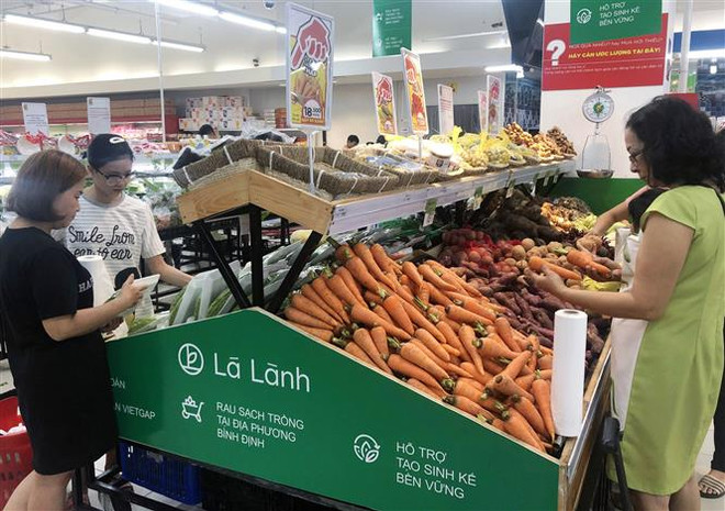 Việt Nam-New Zealand tăng cường hợp tác chặt chẽ trên nhiều lĩnh vực ảnh 1