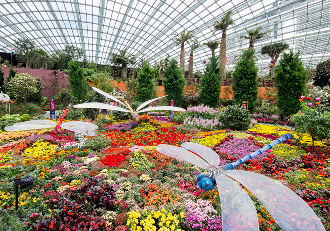 Chiêm ngưỡng bồn hoa rực rỡ lớn nhất thế giới tại Singapore ảnh 1