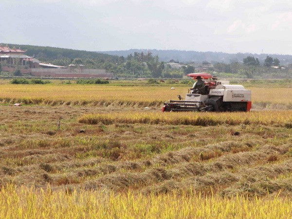 Mỗi năm lãng phí tới 2 tỷ USD, nông dân mơ hồ về nông nghiệp bền vững? ảnh 1