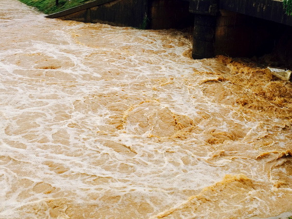 Thừa Thiên-Huế: Nhiều vụ tai nạn bất thường và hi hữu do thời tiết ảnh 1