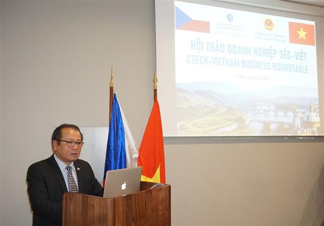 Hội thảo doanh nghiệp Séc-Việt thúc đẩy phát huy hiệu quả EVFTA ảnh 1