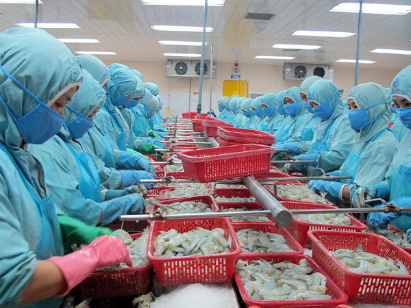 Cần Thơ xuất siêu 616 triệu USD, cao nhất từ trước đến nay ảnh 1