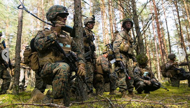 Lực lượng Mỹ tập trận chung với quân đội 18 nước tại Baltic ảnh 1