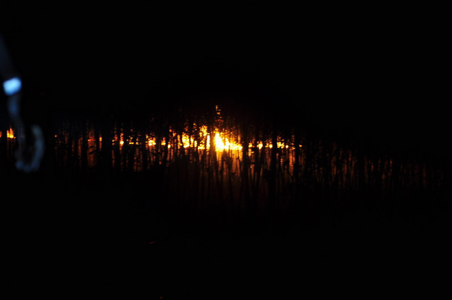 Đồng Nai: Cháy lớn tại xưởng tái chế dầu nhớt thải nằm giữa rừng ảnh 2