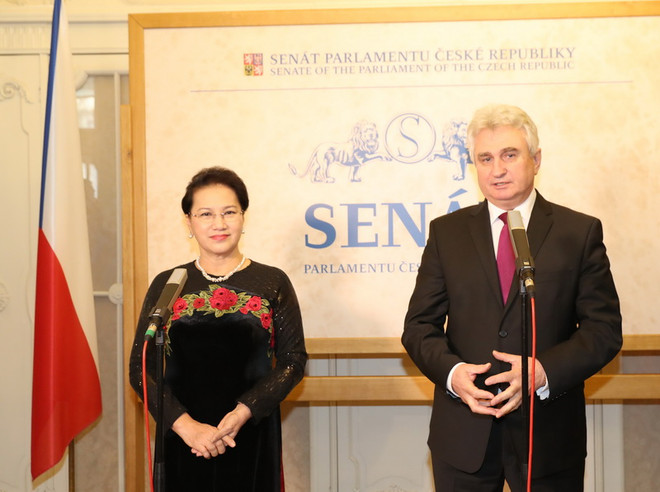 Việt Nam muốn hợp tác chặt chẽ với Séc tại các diễn đàn quốc tế ảnh 1