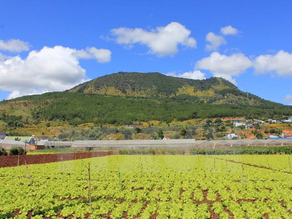 Khu vực Bắc Bộ nhiệt độ tăng nhẹ, Nam Bộ nắng nóng kéo dài ảnh 1