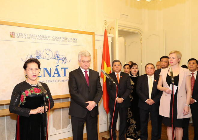Việt Nam muốn hợp tác chặt chẽ với Séc tại các diễn đàn quốc tế ảnh 2