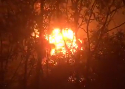 Đồng Nai: Cháy lớn tại xưởng tái chế dầu nhớt thải nằm giữa rừng ảnh 1