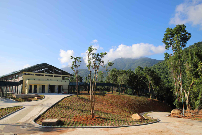 2 cá thể gấu đầu tiên được cứu hộ về ‘ngôi nhà gấu’ tại Bạch Mã ảnh 2