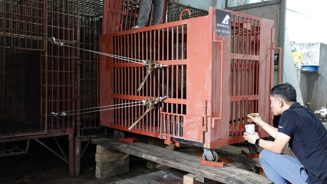 2 cá thể gấu đầu tiên được cứu hộ về ‘ngôi nhà gấu’ tại Bạch Mã ảnh 3