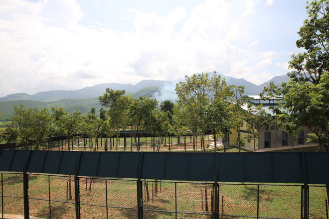 2 cá thể gấu đầu tiên được cứu hộ về ‘ngôi nhà gấu’ tại Bạch Mã ảnh 4