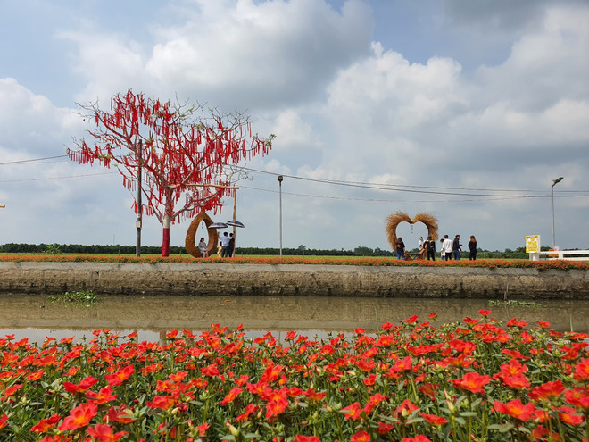“Phố ông Lang” - Điểm du lịch sinh thái độc đáo, miễn phí tại Cần Thơ ảnh 2