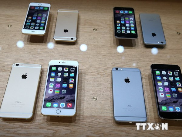 Hà Nội tạm giữ lô hàng iPhone 6 trị giá trên 500 triệu đồng ảnh 1