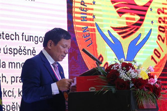Ông Hoàng Đình Thắng tiếp tục được bầu giữ vị trí Chủ tịch Liên hiệp Hội. (Ảnh: Ngọc Biên/TTXVN) Đại hội lần thứ II Liên hiệp Hội người Việt Nam tại châu Âu ảnh 3
