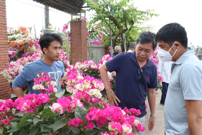 'Vương quốc hoa kiểng' Chợ Lách hấp dẫn du khách dịp cuối năm ảnh 1