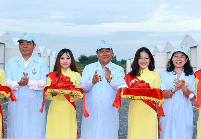 Thủ tướng thăm Khu sản xuất cá tra giống công nghệ cao tại An Giang ảnh 1