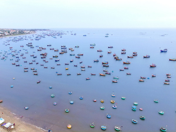 Ban hành Nghị quyết về hợp tác biển và nghề cá với Indonesia ảnh 1