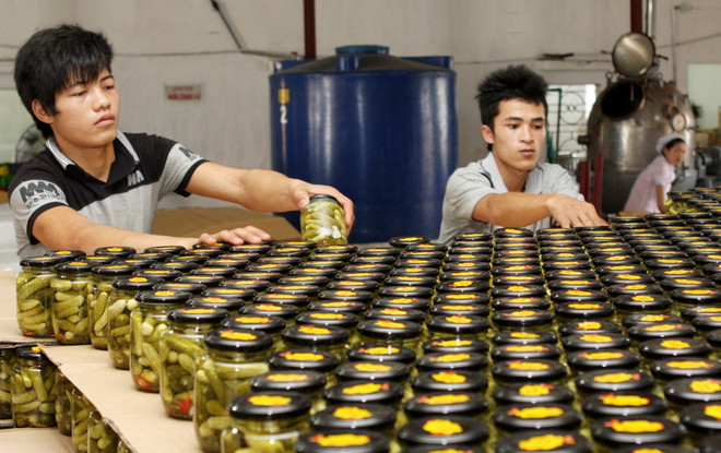 Nông nghiệp Việt Nam “đón sóng” TPP: Cơ hội và thách thức - Bài 1 ảnh 2