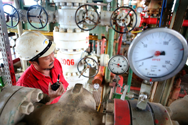 "Năm 2017 không lo cú sốc về giá nguyên vật liệu thế giới" ảnh 1