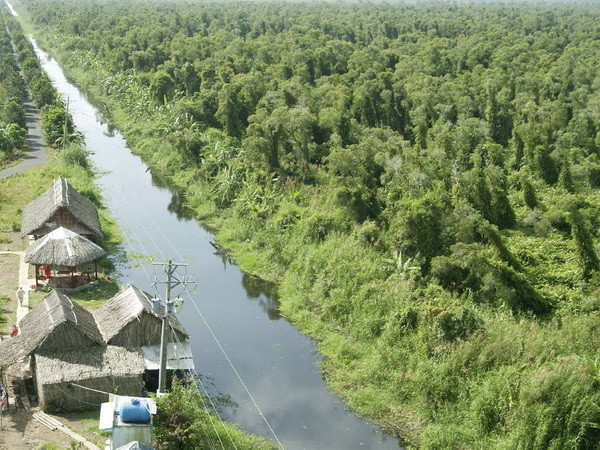 Phát hiện nhiều động vật hoang dã quý hiếm ở rừng U Minh Hạ ảnh 1