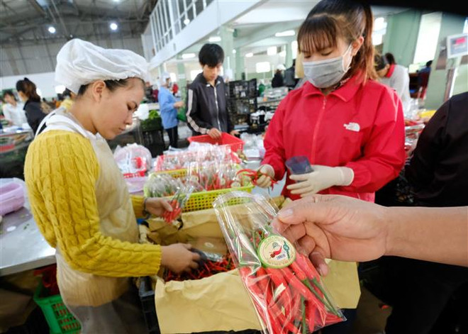 Những thách thức về nông nghiệp sạch: Gỡ "nút thắt" cho nông sản Việt ảnh 1