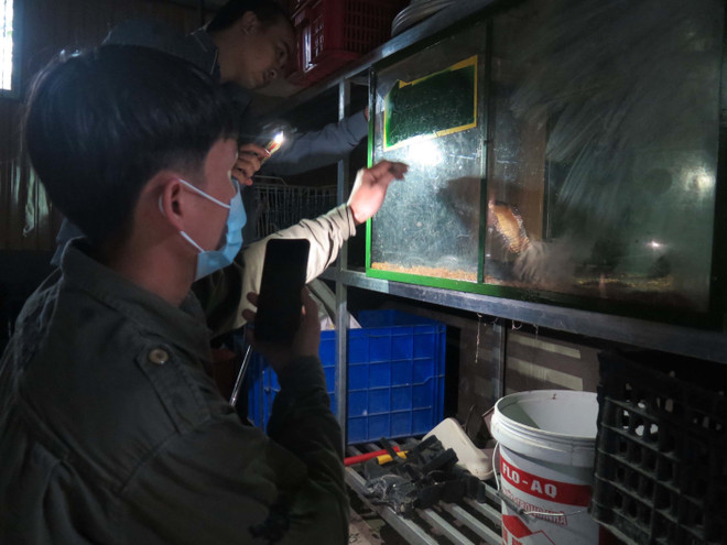 Bảo tồn loài hoang dã: Những mối nguy lớn và nỗ lực phục hồi ảnh 3