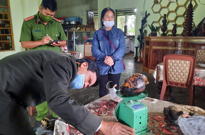 Bảo tồn loài hoang dã: Những mối nguy lớn và nỗ lực phục hồi ảnh 2