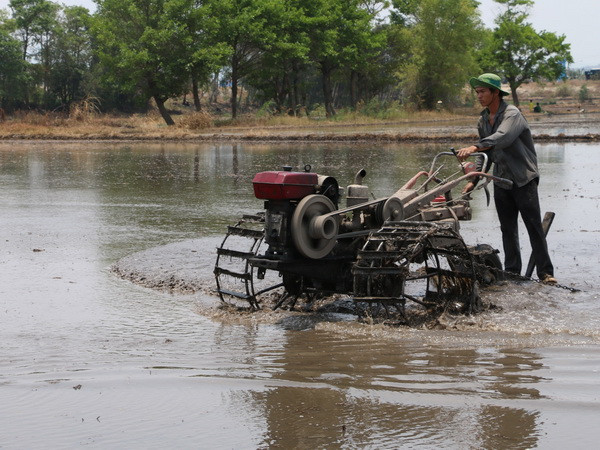 Tăng cường hợp tác khu vực Mekong và Hàn Quốc, Ấn Độ ảnh 1