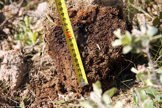 Lý giải nguyên nhân hình thành miệng hố khổng lồ bí ẩn ở Siberia ảnh 2