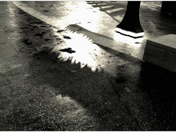 Khủng long vô cùng hung dữ xuất hiện trong “Jurassic World” ảnh 1