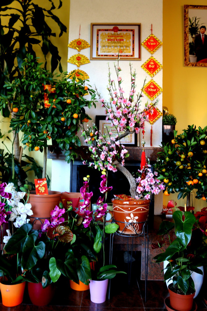 Người Thái Bình ở CH Séc: Quê hương luôn ở trong trái tim ảnh 2