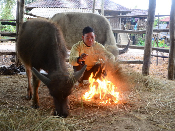 Không khí lạnh ảnh hưởng đến Bắc Bộ, miền Trung nguy cơ ngập sâu ảnh 1