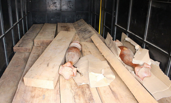 Quảng Bình: Phát hiện xe chở gỗ không có giấy tờ hợp pháp ảnh 1