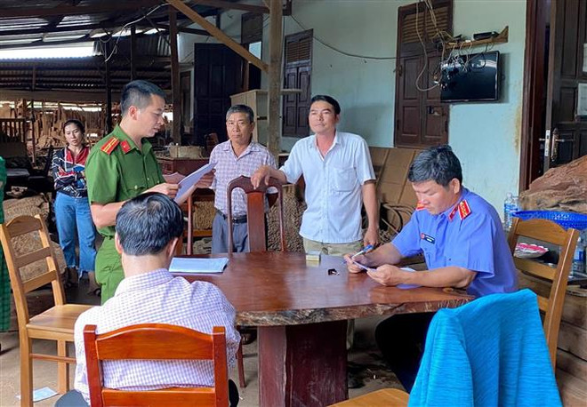 Gia Lai: Xử phạt hai vụ khai thác, tàng trữ lâm sản trái phép ảnh 1