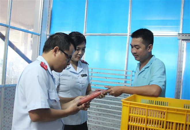 Năm 2019 sẽ thanh tra diện rộng trong một số lĩnh vực y tế, giáo dục ảnh 1