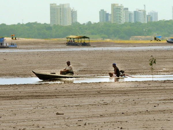 Brazil triệt phá nhóm lâm tặc lớn nhất chuyên phá rừng Amazon ảnh 1
