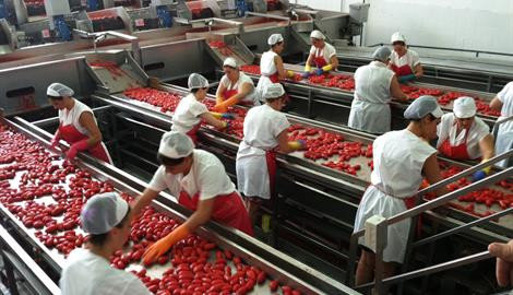 Australia điều tra hàng hóa nghi ngờ bán phá giá từ châu Âu ảnh 1