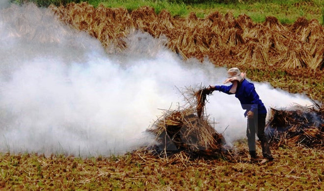 JICA hỗ trợ đánh giá về công nghệ cácbon thấp tại Việt Nam ảnh 2