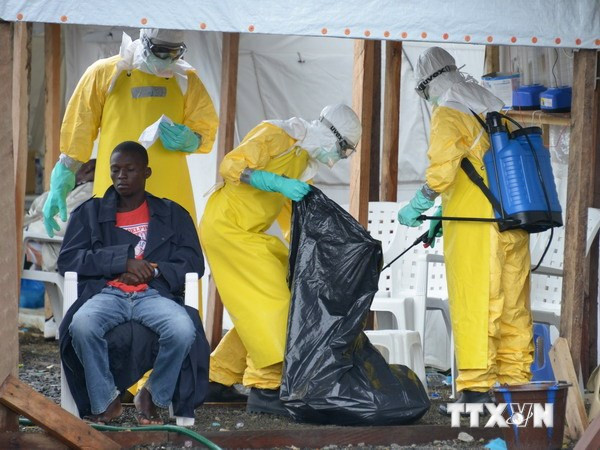 Mỹ cử 3.000 nhân viên quân sự tới Tây Phi chống dịch Ebola ảnh 1