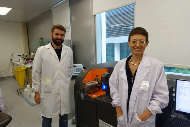 Dịch COVID-19: Singapore nghiên cứu tế bào T chống virus SARS-CoV-2 ảnh 1