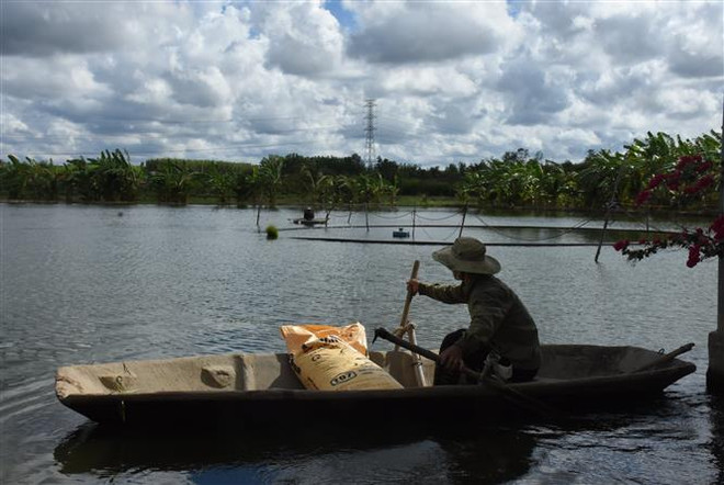 Giá nguyên liệu tăng cao, người nuôi thủy sản "ngồi trên đống lửa" ảnh 1
