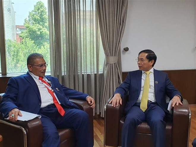 Việt Nam nhất trí thúc đẩy hợp tác với Indonesia và Brunei ảnh 2