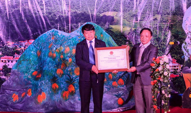 Nghệ thuật tạo hoa văn của người Mông hoa Điện Biên là di sản quốc gia ảnh 1