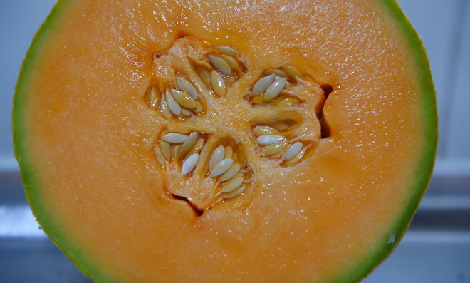 Australia: 3 người tử vong vì nhiễm khuẩn Listeria do ăn dưa lưới ảnh 1