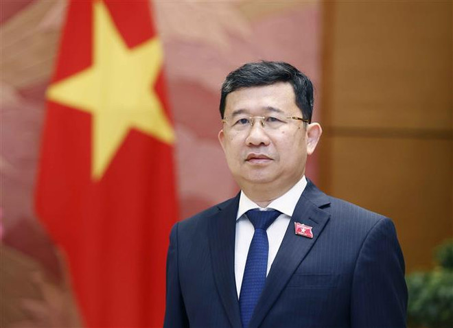 Chủ nhiệm Ủy ban Đối ngoại của Quốc hội Vũ Hải Hà. (Ảnh: Doãn Tấn/TTXVN) Hoạt động đối ngoại Quốc hội phục vụ phát triển đất nước ảnh 2