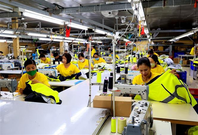 Người lao đông làm việc tại Công ty TNHH May mặc Dony, xã Vĩnh Lộc A, huyện Bình Chánh, Thành phố Hồ Chí Minh. (Ảnh: Hồng Đạt/TTXVN) Đưa thị trường lao động Việt Nam phát triển linh hoạt, bền vững ảnh 1